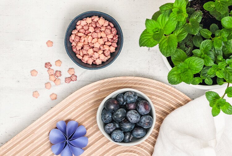 article3b-muesli-choco-flower.jpeg