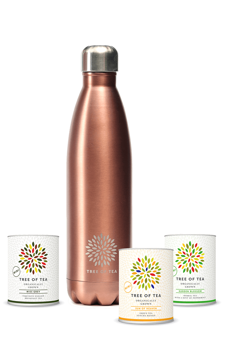 Doppelwandige Thermosflasche